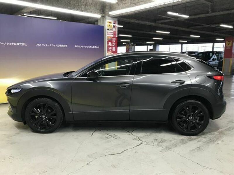 CX-30