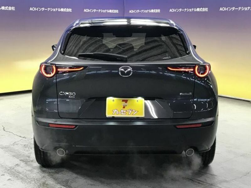 CX-30