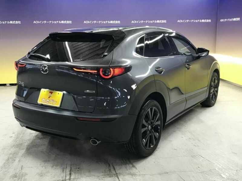 CX-30