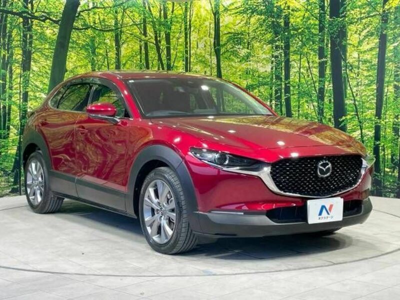 CX-30