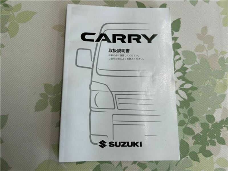 CARRY TRUCK