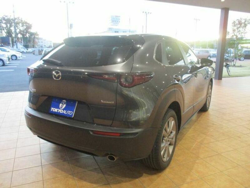 CX-30