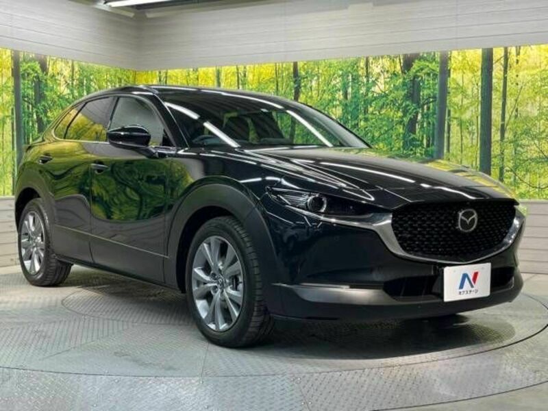 CX-30