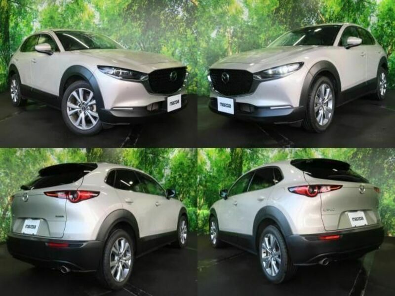 CX-30