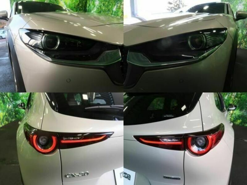 CX-30