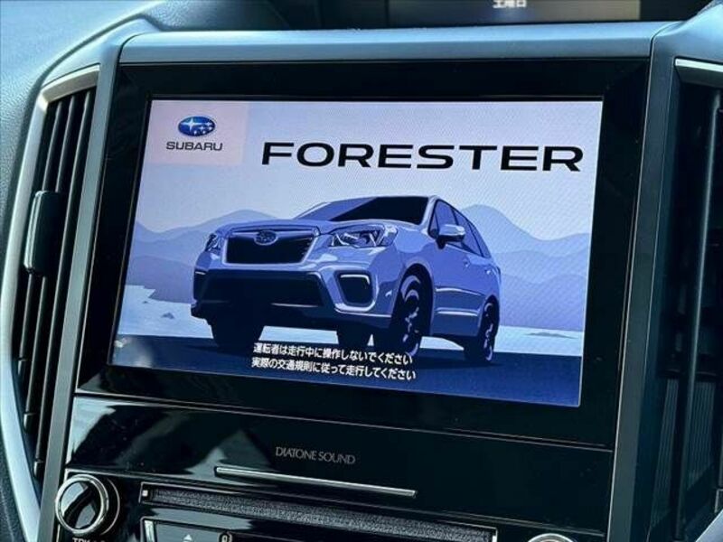 FORESTER