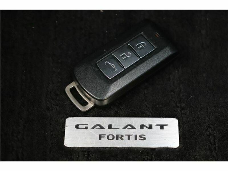 GALANT FORTIS