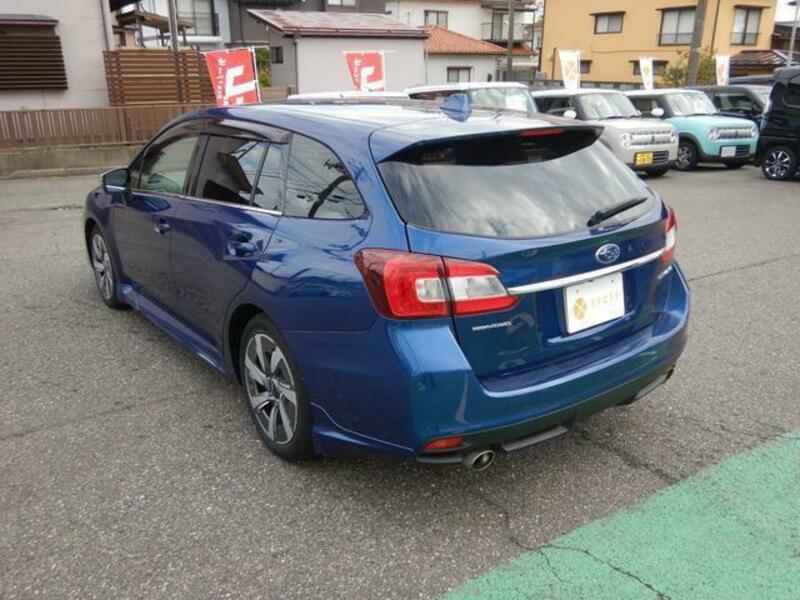 LEVORG