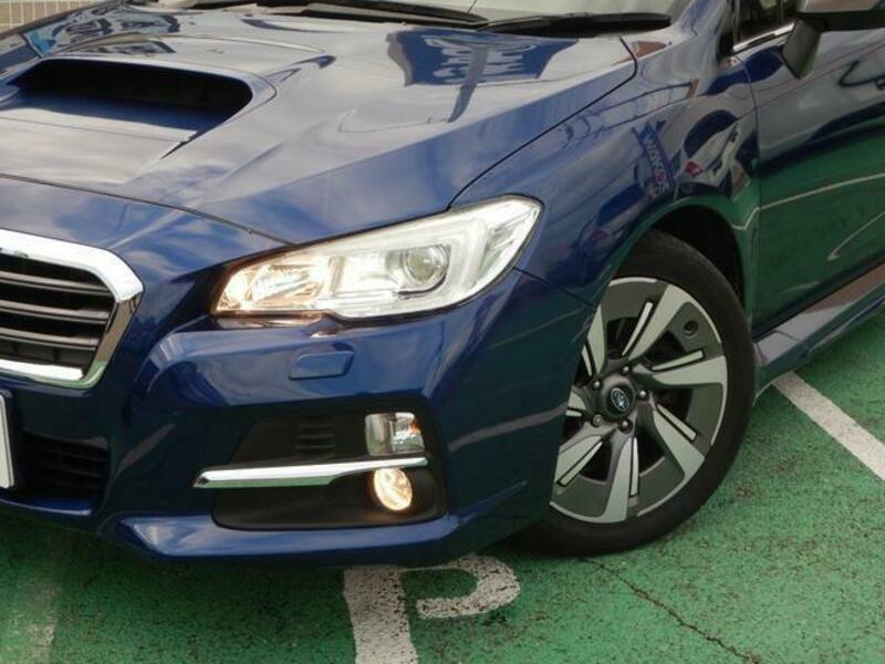 LEVORG