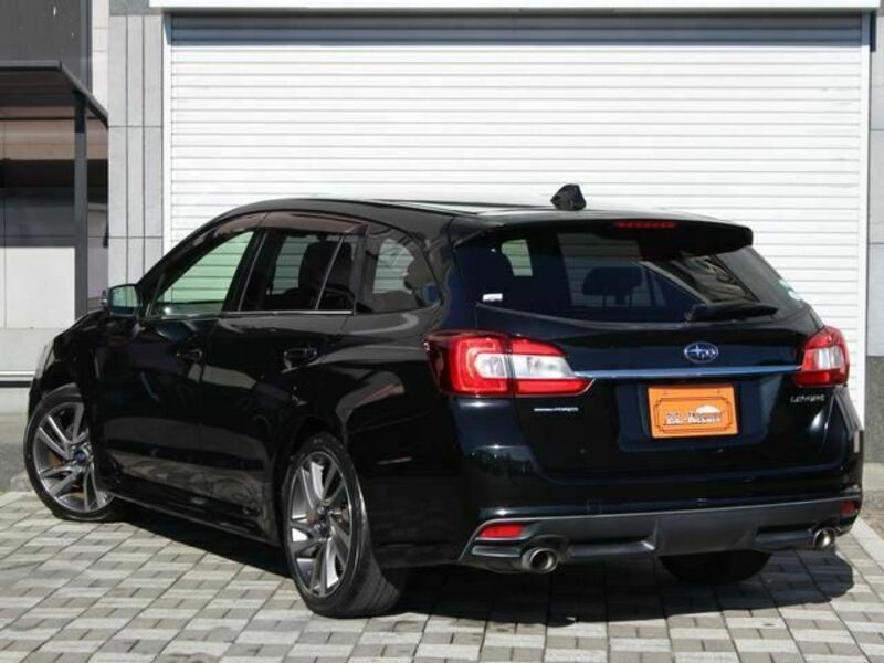 LEVORG