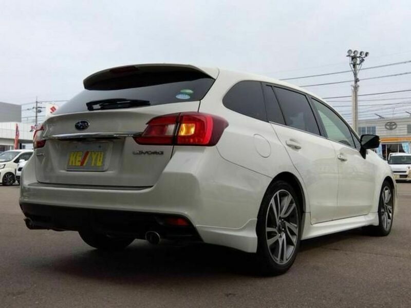 LEVORG