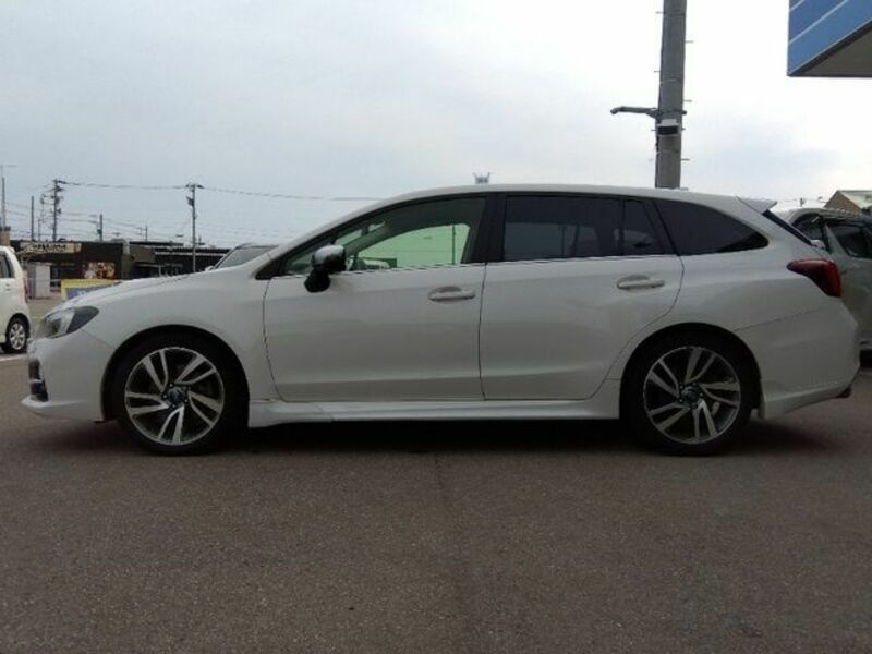 LEVORG