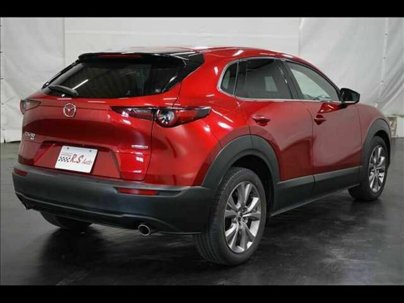 CX-30