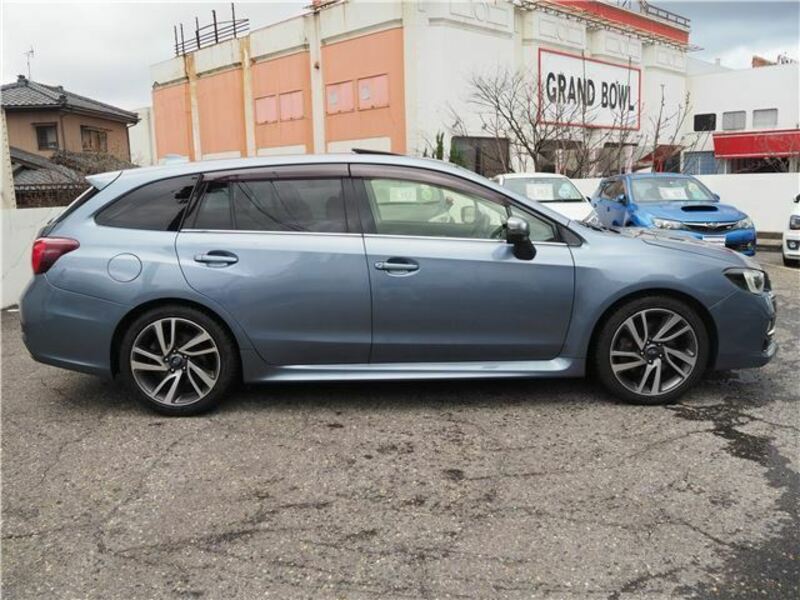 LEVORG