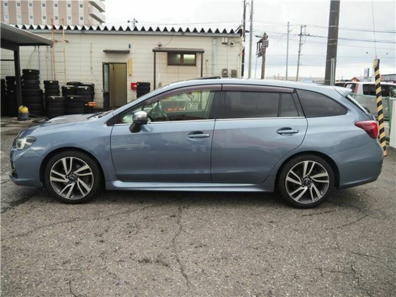 LEVORG