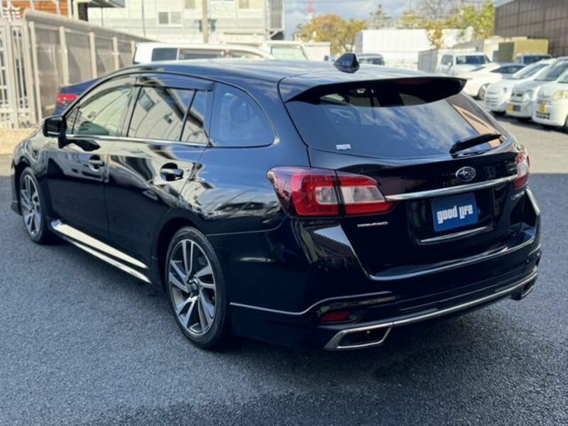 LEVORG