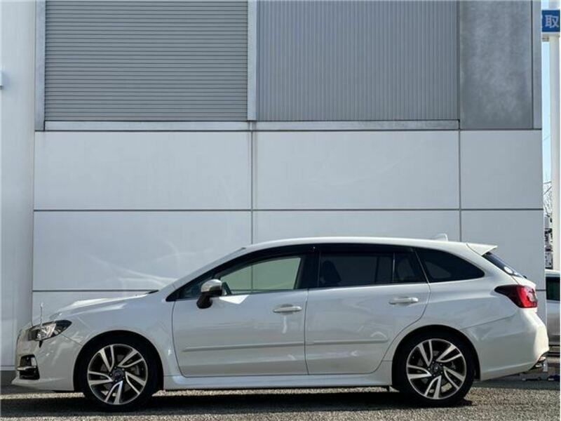 LEVORG