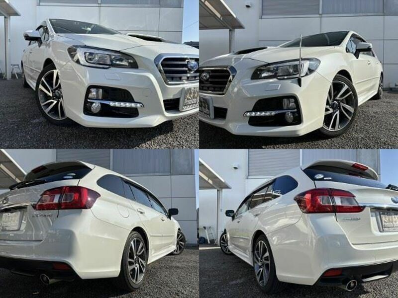 LEVORG