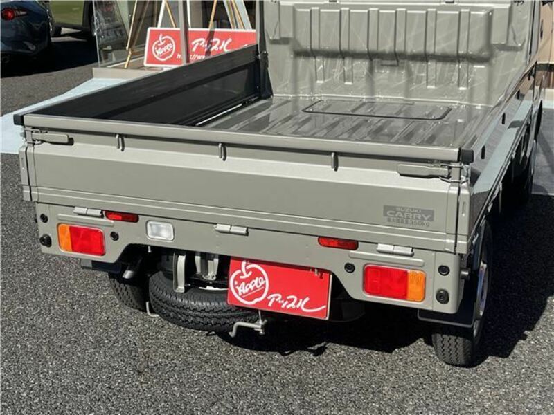 CARRY TRUCK