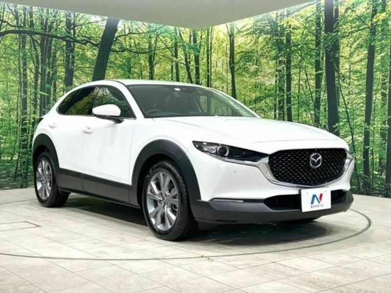 CX-30