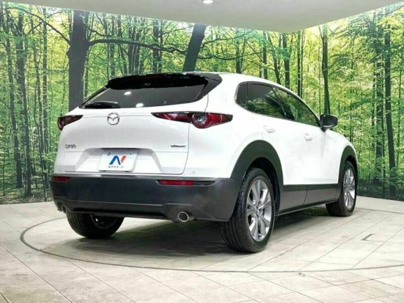 CX-30