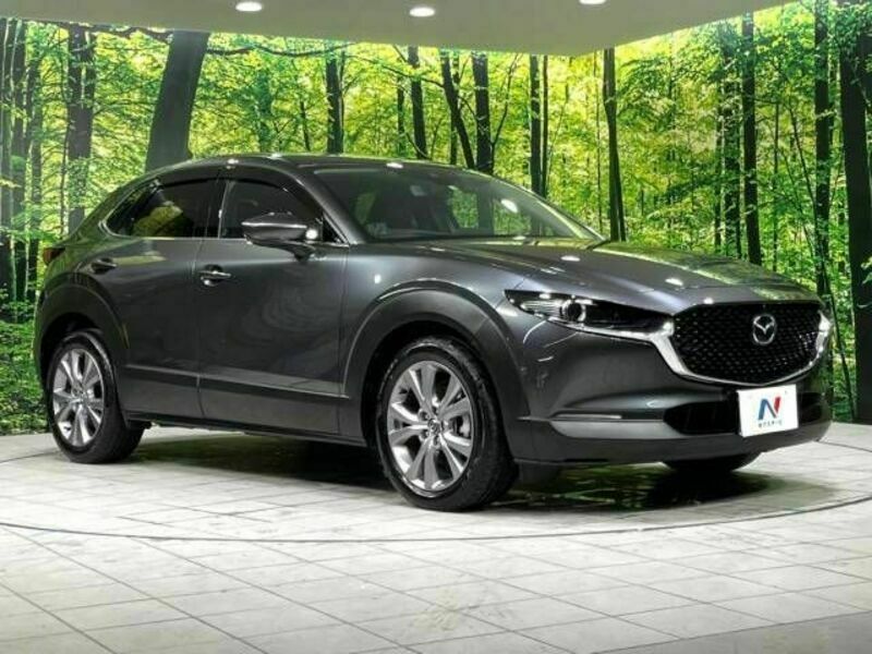 CX-30