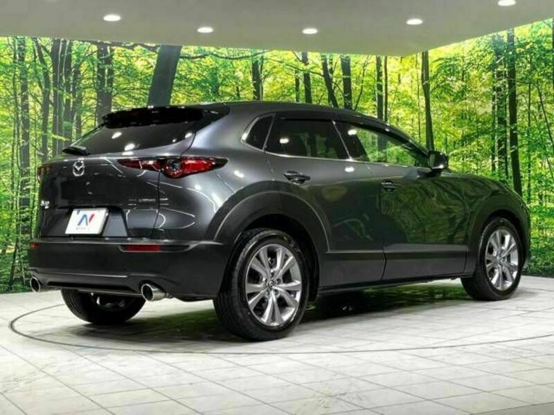 CX-30