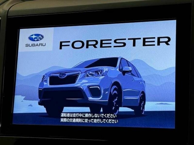 FORESTER