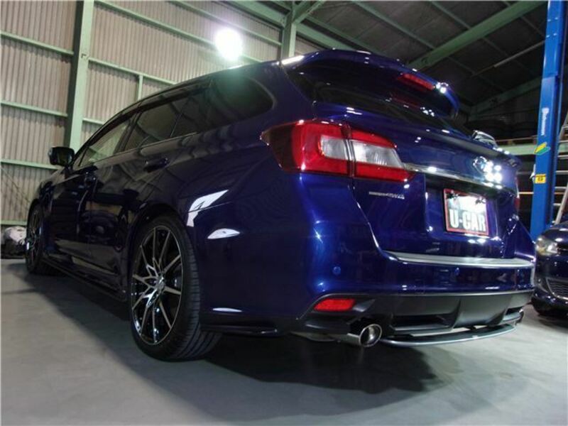 LEVORG