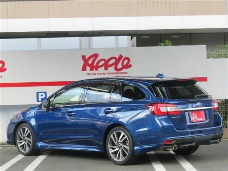 LEVORG