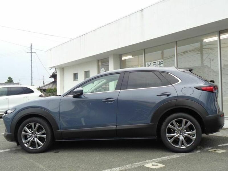 CX-30