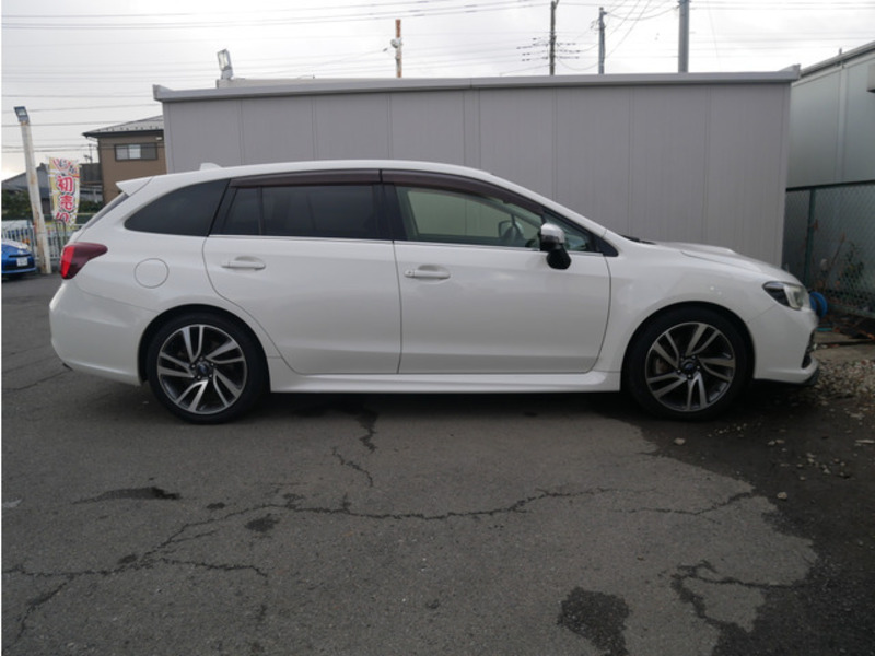 LEVORG