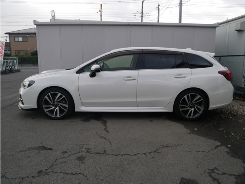 LEVORG