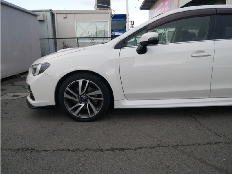 LEVORG