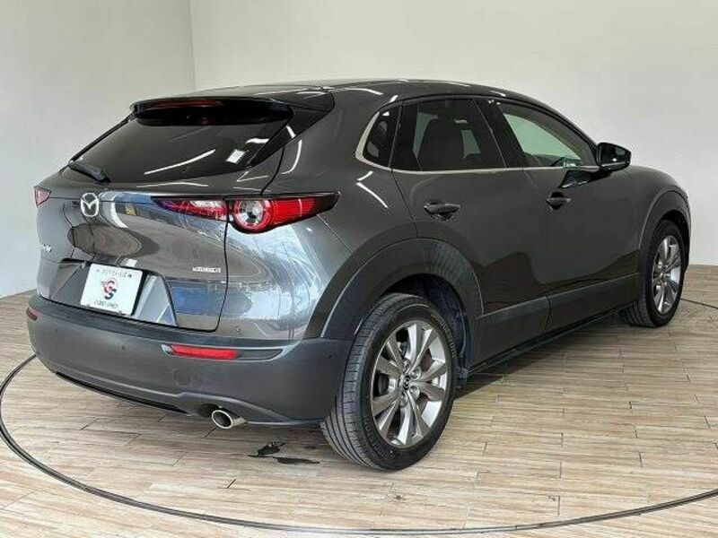 CX-30