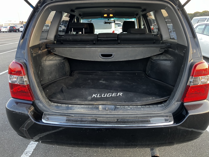 KLUGER L