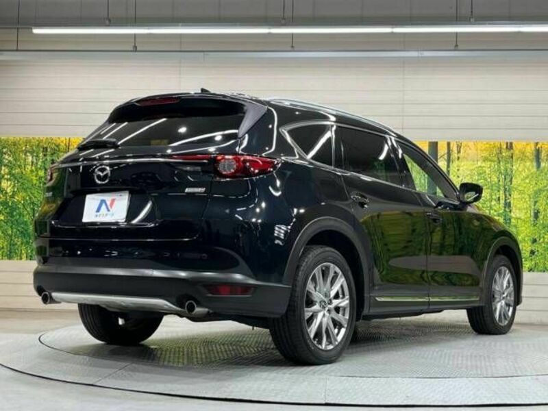 CX-8