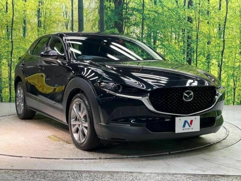 CX-30