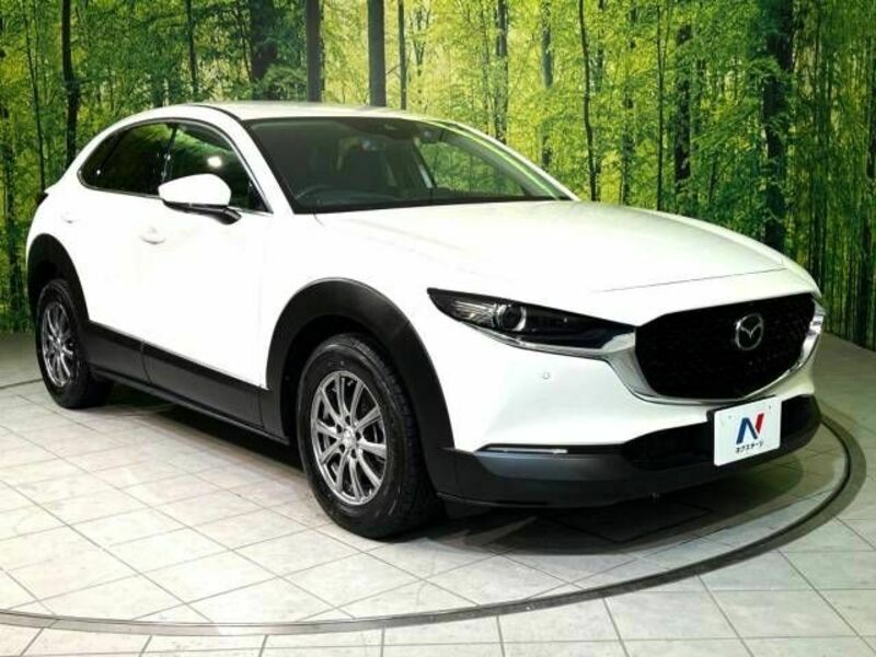 CX-30