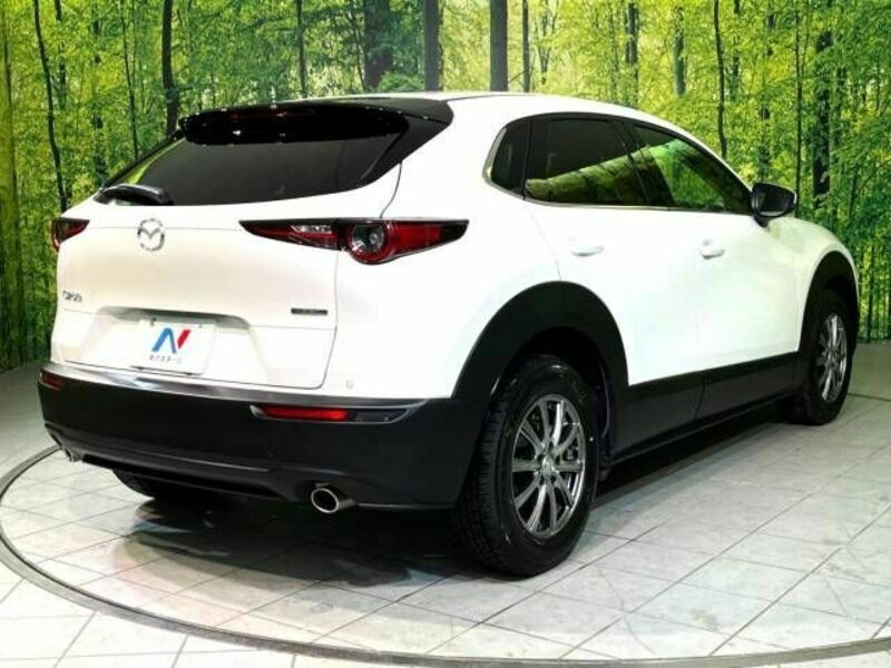 CX-30