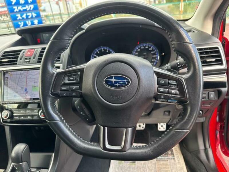 LEVORG