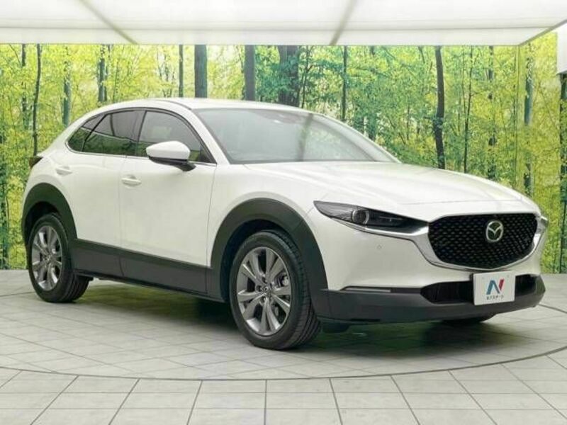 CX-30