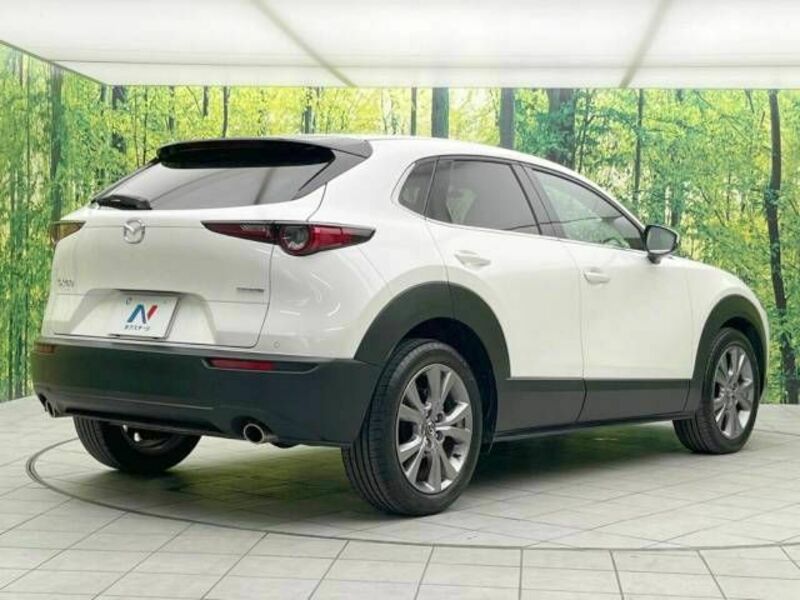 CX-30