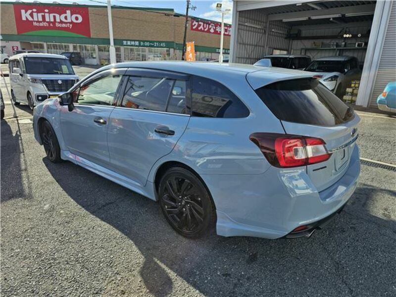 LEVORG