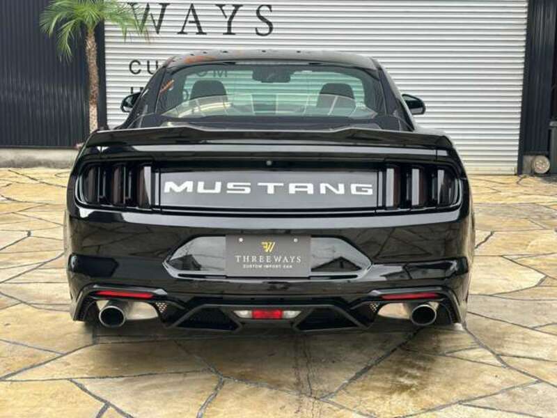 MUSTANG