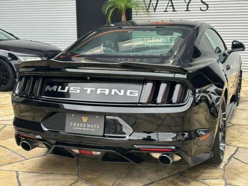 MUSTANG