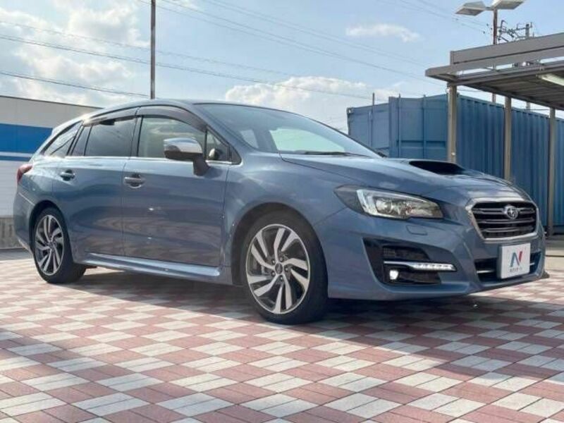 LEVORG