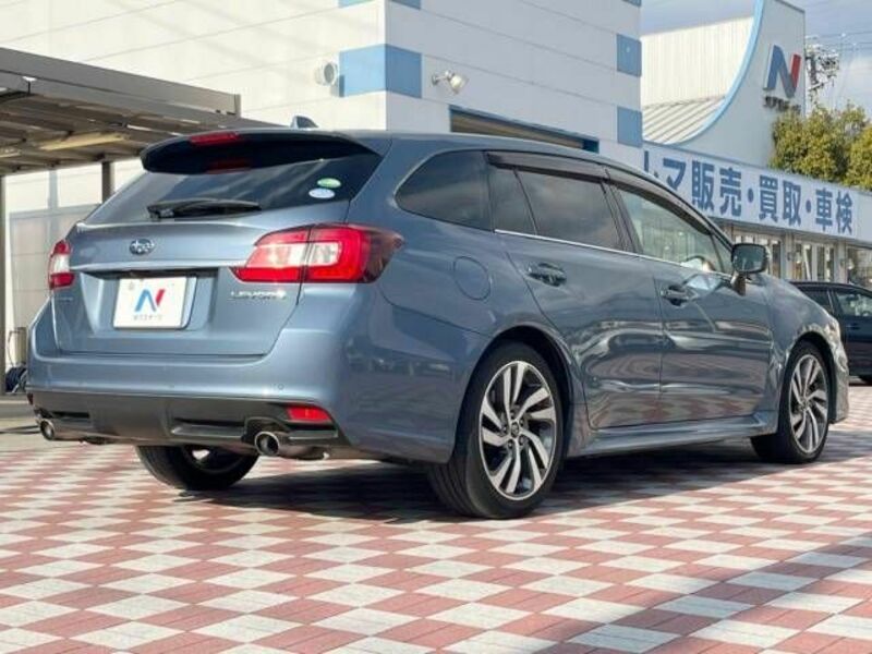 LEVORG