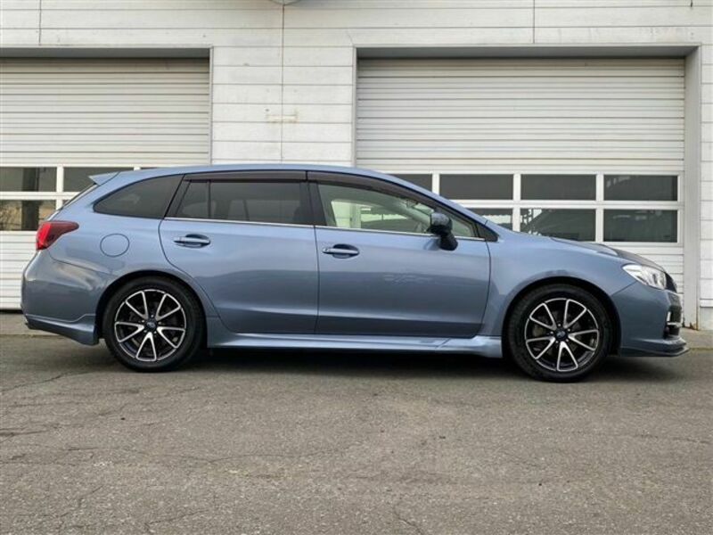 LEVORG