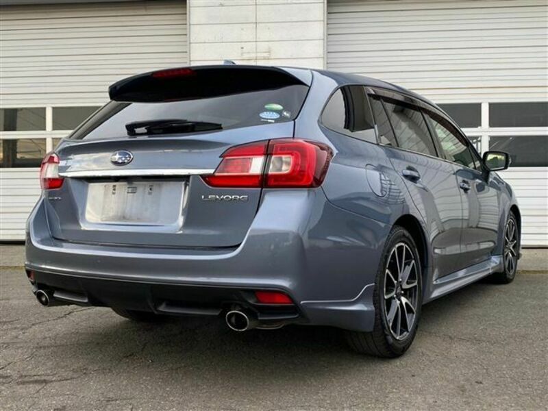 LEVORG